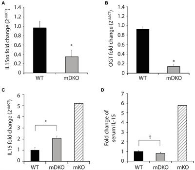 Skeletal Muscle O-GlcNAc Transferase Action on Global Metabolism Is Partially Mediated Through Interleukin-15